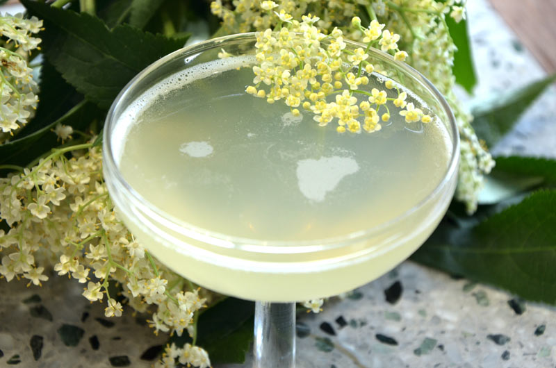 Gardeners Question Time Cocktail
