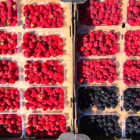 Berries harvested from our Somerset fruit plantation