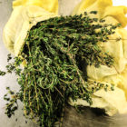 Fresh thyme for our ginger cordial